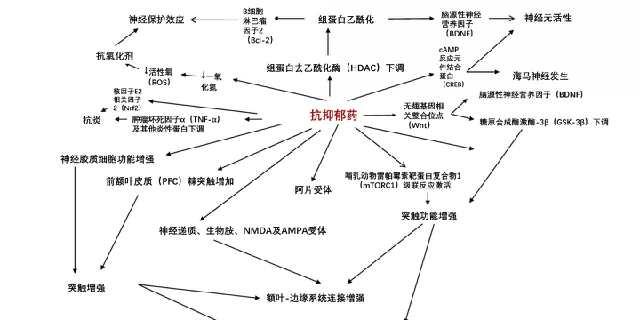 抗焦慮抑郁藥物有哪些藥_抗焦慮抑郁藥物多久見效_抗焦慮抗抑郁首選藥物