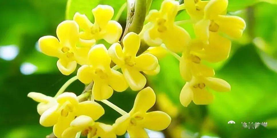 心理行為門診是看什么的_心理行為訓練心得體會500字_心理行為